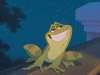 THE PRINCESS AND THE FROG