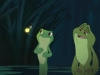 THE PRINCESS AND THE FROG