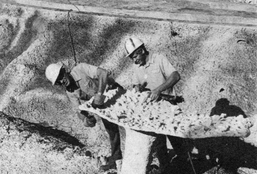 After the rock walls are formed, then come "coral" formations and other aquatic life.  Pictured here are George Lake (l) and Roy Hough (r) cleaning up a coral head just prior to painting.