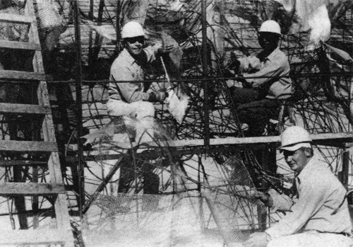 The first step in forming the new rock is to bend iron rods into the general shape desired. Then a steel mesh is attached to the rods. A cement stucco is then spread over the mesh to give the rock-like appearance. Above are Thomas Bothell (top, left), Leo Waldon (top, right) and Jack Tomes (bottom) attaching mesh over the rods.