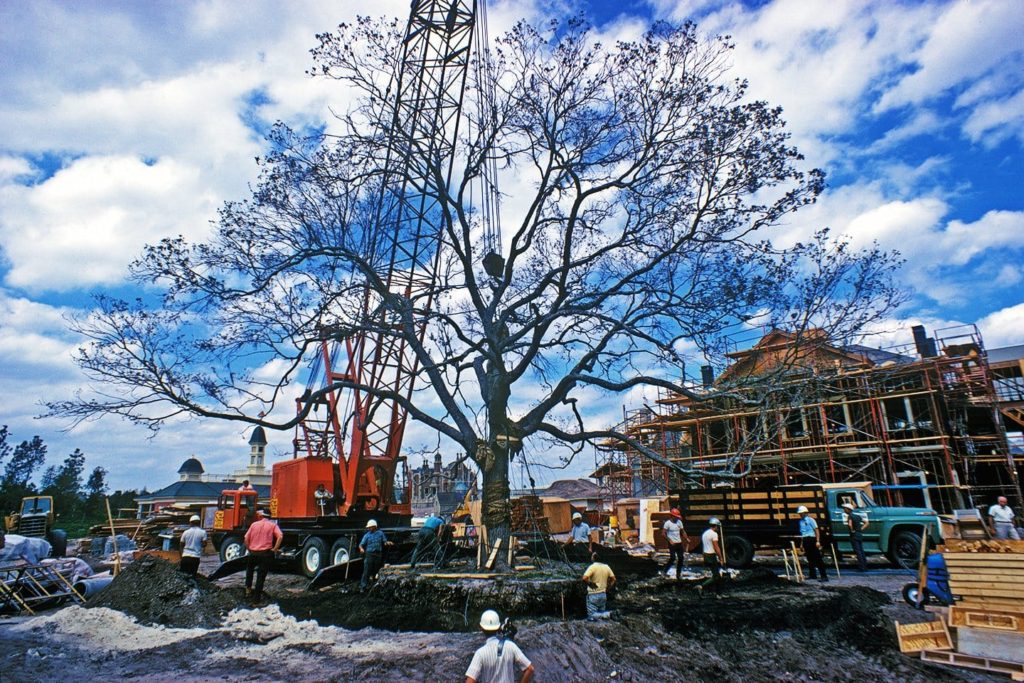 Liberty Oak being lowered into place in Liberty Square, 1971